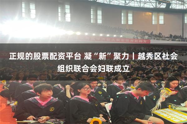 正规的股票配资平台 凝“新”聚力丨越秀区社会组织联合会妇联成立