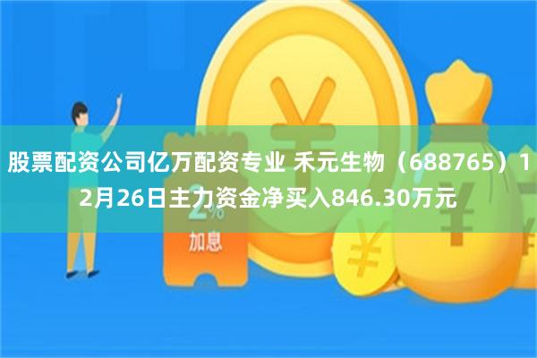 股票配资公司亿万配资专业 禾元生物(688765)12月26日主力资金净买入846.30万元