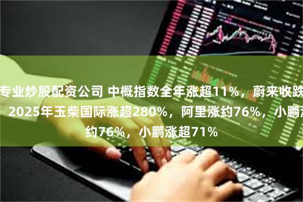 专业炒股配资公司 中概指数全年涨超11%，蔚来收跌约7.3%，2025年玉柴国际涨超280%，阿里涨约76%，小鹏涨超71%