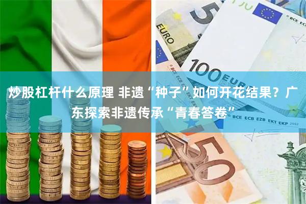 炒股杠杆什么原理 非遗“种子”如何开花结果？广东探索非遗传承“青春答卷”