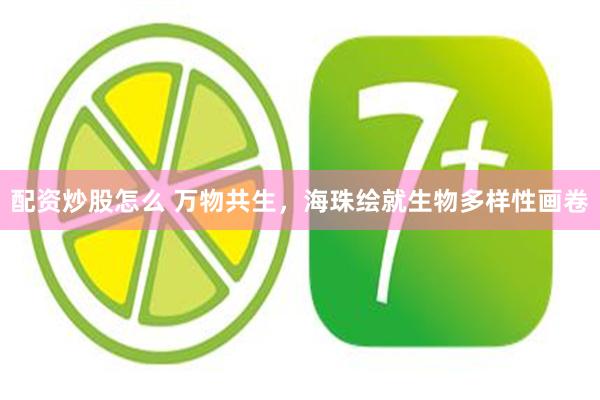 配资炒股怎么 万物共生，海珠绘就生物多样性画卷