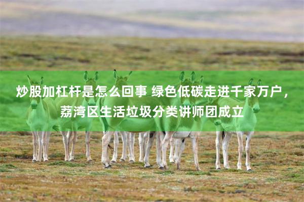 炒股加杠杆是怎么回事 绿色低碳走进千家万户，荔湾区生活垃圾分类讲师团成立