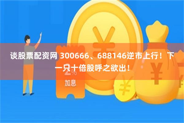 谈股票配资网 300666、688146逆市上行！下一只十倍股呼之欲出！