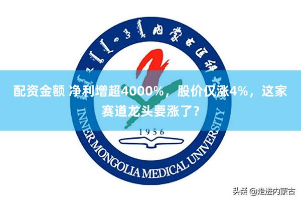配资金额 净利增超4000%,股价仅涨4%,这家赛道龙头要涨了?