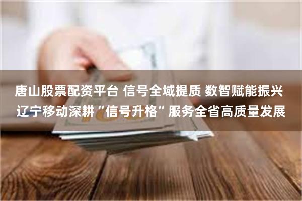 唐山股票配资平台 信号全域提质 数智赋能振兴 辽宁移动深耕“信号升格”服务全省高质量发展