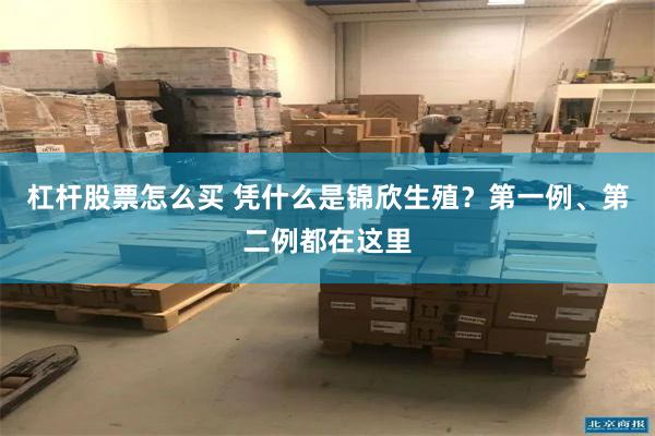 杠杆股票怎么买 凭什么是锦欣生殖？第一例、第二例都在这里