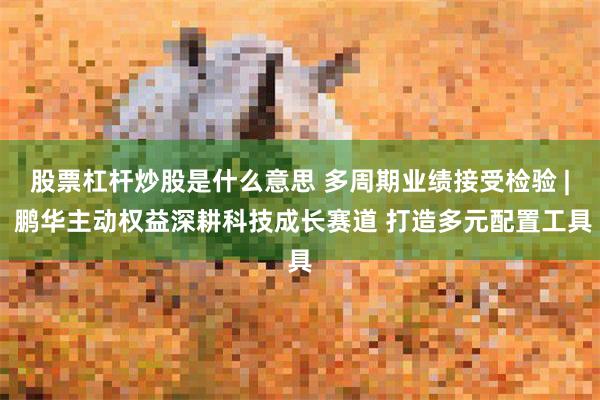 股票杠杆炒股是什么意思 多周期业绩接受检验 | 鹏华主动权益深耕科技成长赛道 打造多元配置工具