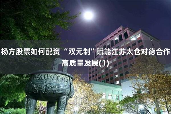 杨方股票如何配资 “双元制”赋能江苏太仓对德合作高质量发展(1)