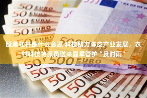 股票杠杆是什么意思 科技助力陈皮产业发展,农村科技特派员送来夏季管护“及时雨”