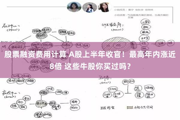 股票融资费用计算 A股上半年收官!最高年内涨近8倍 这些牛股你买过吗?