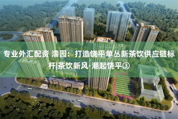 专业外汇配资 濡园:打造饶平单丛新茶饮供应链标杆|茶饮新风·潮起饶平③