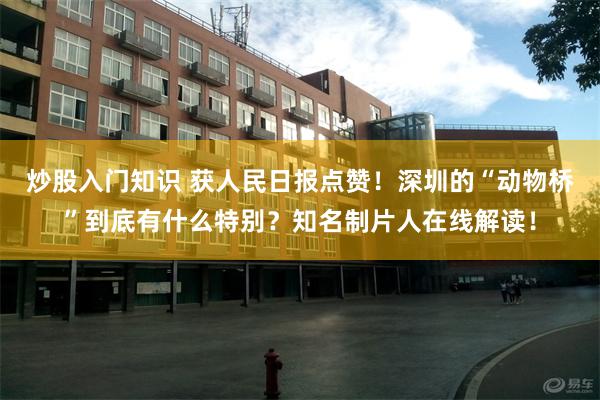 炒股入门知识 获人民日报点赞！深圳的“动物桥”到底有什么特别？知名制片人在线解读！