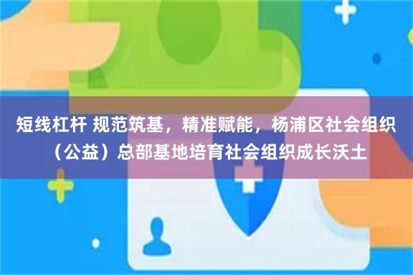 短线杠杆 规范筑基，精准赋能，杨浦区社会组织（公益）总部基地培育社会组织成长沃土