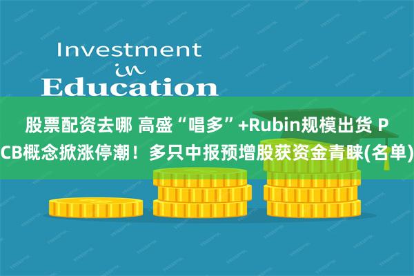 股票配资去哪 高盛“唱多”+Rubin规模出货 PCB概念掀涨停潮！多只中报预增股获资金青睐(名单)