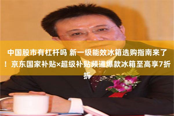 中国股市有杠杆吗 新一级能效冰箱选购指南来了！京东国家补贴×超级补贴频道爆款冰箱至高享7折