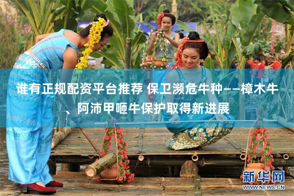 谁有正规配资平台推荐 保卫濒危牛种——樟木牛、阿沛甲咂牛保护取得新进展