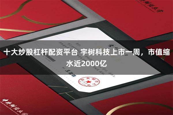 十大炒股杠杆配资平台 宇树科技上市一周，市值缩水近2000亿