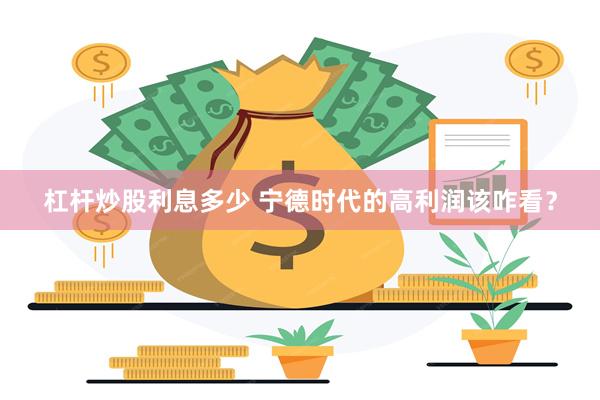 杠杆炒股利息多少 宁德时代的高利润该咋看？