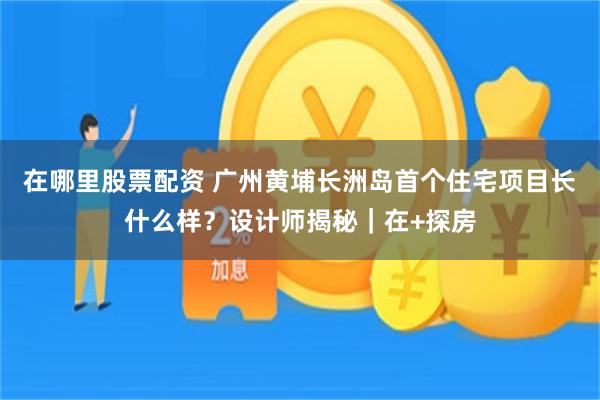在哪里股票配资 广州黄埔长洲岛首个住宅项目长什么样？设计师揭秘｜在+探房
