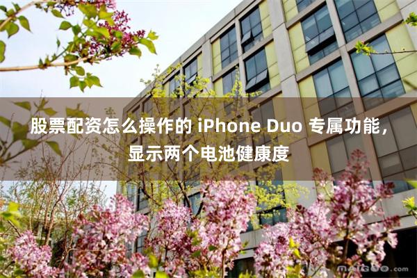 股票配资怎么操作的 iPhone Duo 专属功能，显示两个电池健康度