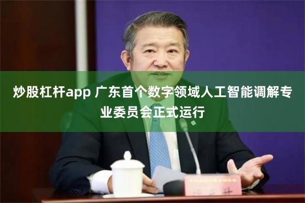 炒股杠杆app 广东首个数字领域人工智能调解专业委员会正式运行