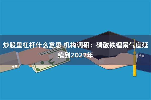 炒股里杠杆什么意思 机构调研：磷酸铁锂景气度延续到2027年