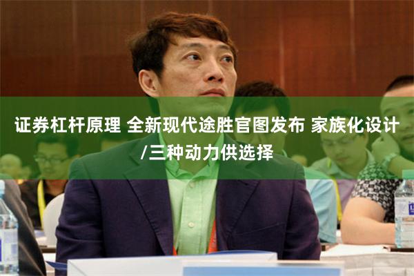 证券杠杆原理 全新现代途胜官图发布 家族化设计/三种动力供选择
