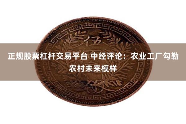 正规股票杠杆交易平台 中经评论：农业工厂勾勒农村未来模样