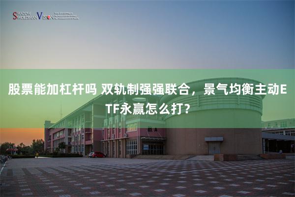 股票能加杠杆吗 双轨制强强联合,景气均衡主动ETF永赢怎么打?